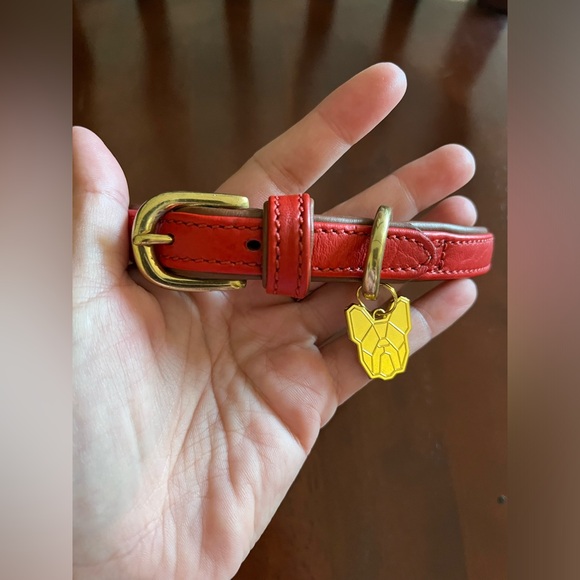 D&F (Digby & Fox) Rolled Leather Buckle Dog Collar - Picture 4 of 5